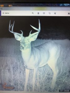 Successful hunter with trophy deer