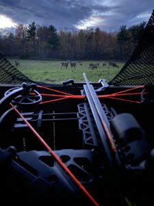 Does on trail camera